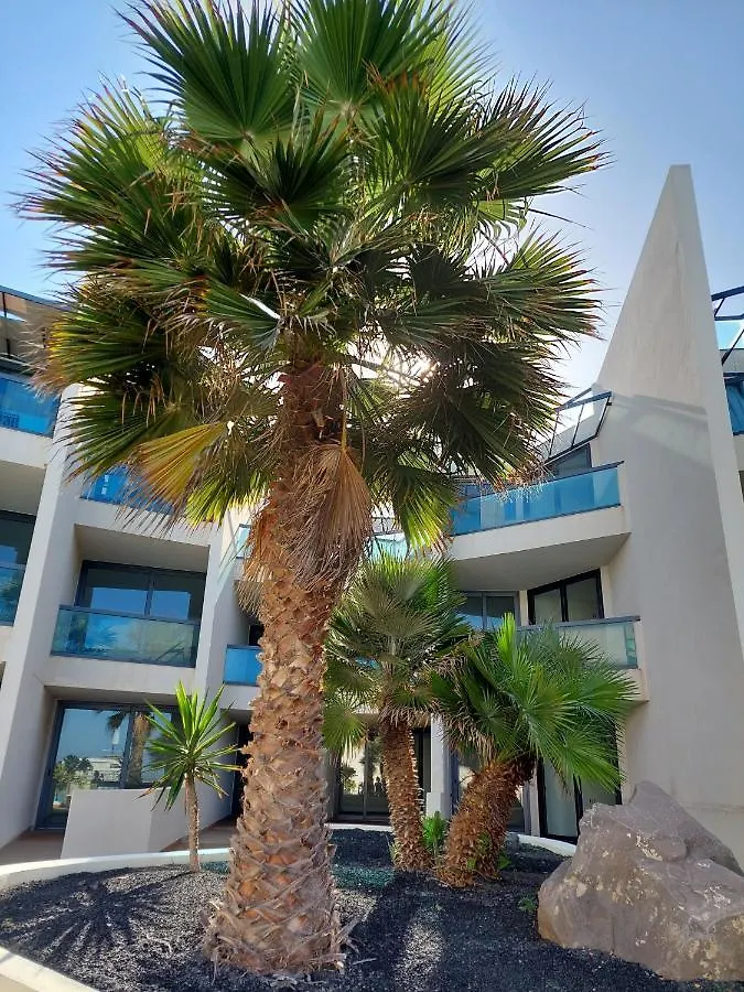 Apartment Mint Deluxe Cotillo I By Sea You There Fuerteventura- Seaviews